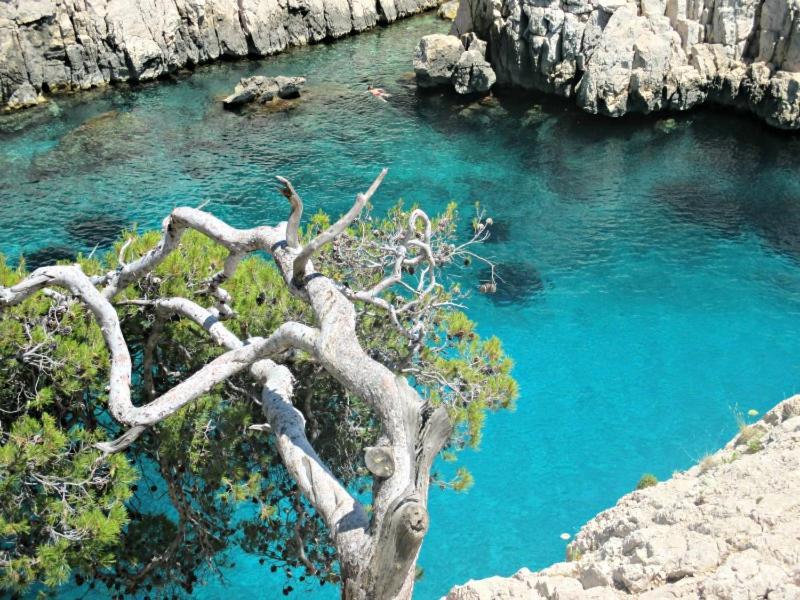 Villa D'Architecte Avec Piscine Et Grand Jardin Marseille Kültér fotó