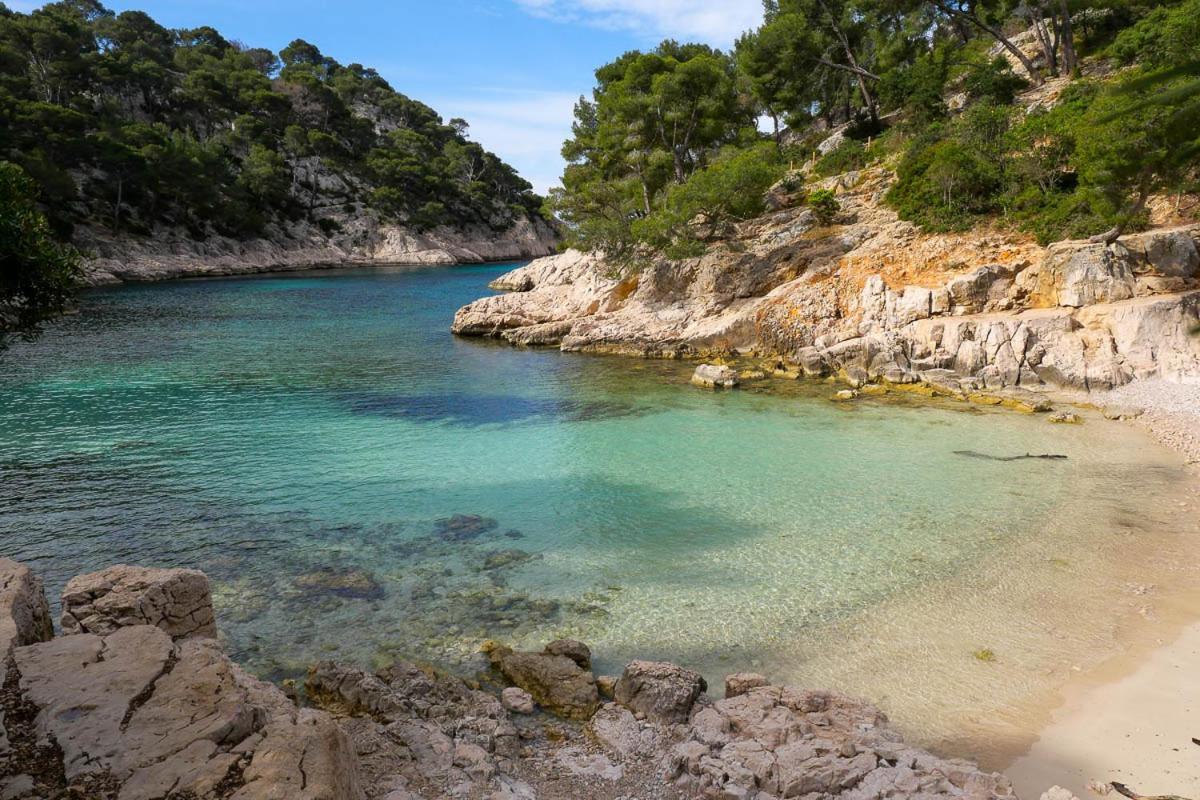 Villa D'Architecte Avec Piscine Et Grand Jardin Marseille Kültér fotó